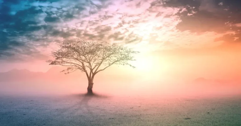 20+ Beautiful Spiritual Art You Will Love To Have 2024 44 beautiful spiritual art: There is a colorful tree in the middle of the field