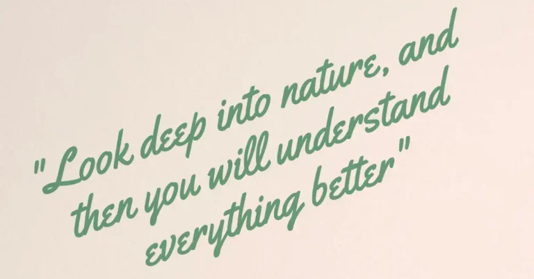 20+ Quotes About Natural Healing You Need To Know 2024 45 Quotes About Natural Healing: there is a quote about the nature