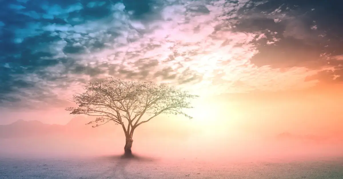 Spiritual Meaning of Colors: Rainbow's Message 2024 1 Spiritual Meaning of Colors: a tree stays in the middle and there are a lot of colors