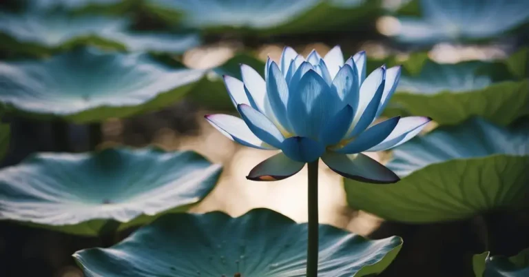 Spiritual Meaning of Blue: Symbolic Significance 2024 1 Spiritual Meaning of Blue: Symbolic Significance 2024