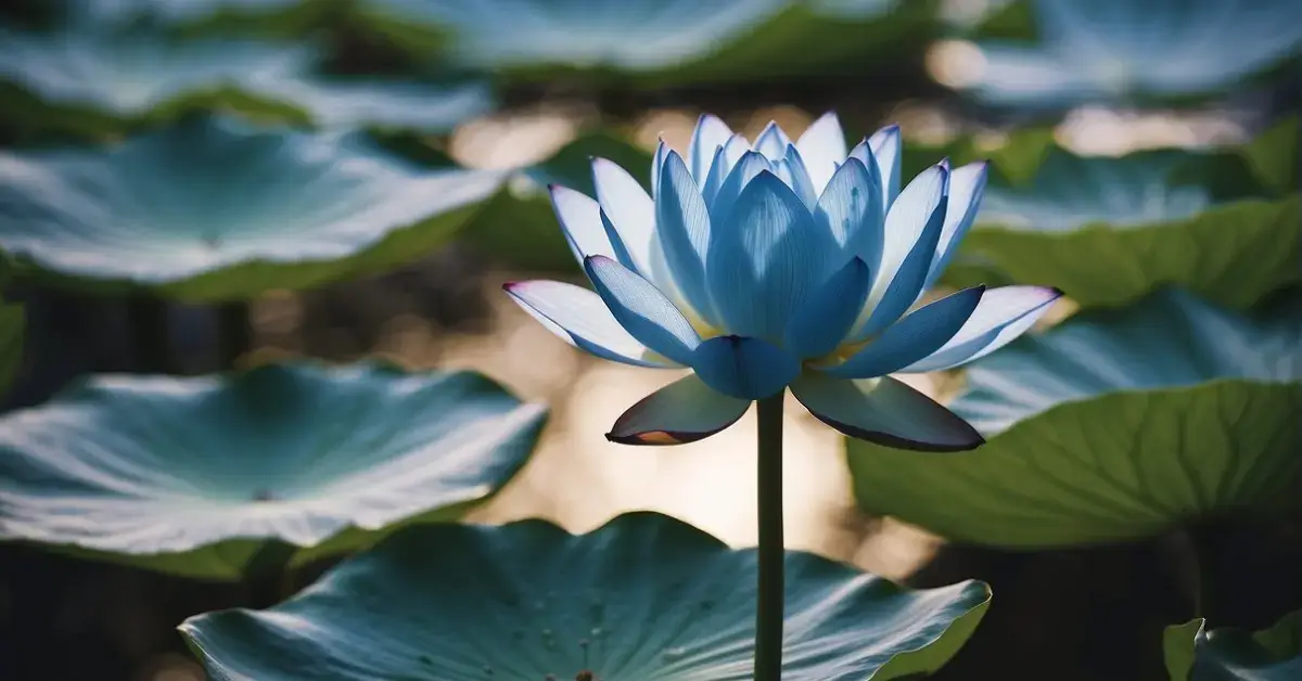 Spiritual Meaning of Blue: Symbolic Significance 2024 1 Spiritual Meaning of Blue: Symbolic Significance 2024