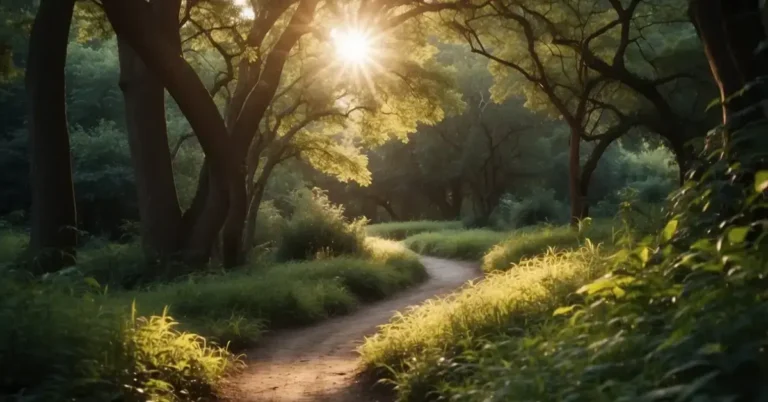How To Start A Spiritual Journey: Finding Inner Peace 2024 10 How To Start A Spiritual Journey: A serene path winds through lush, peaceful nature, leading towards a radiant, glowing light at the end