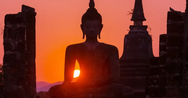 How Much Is Perm Buddha? Find Out The Latest Prices 2024 2 How Much Is Perm Buddha: buddha sit and look at the city